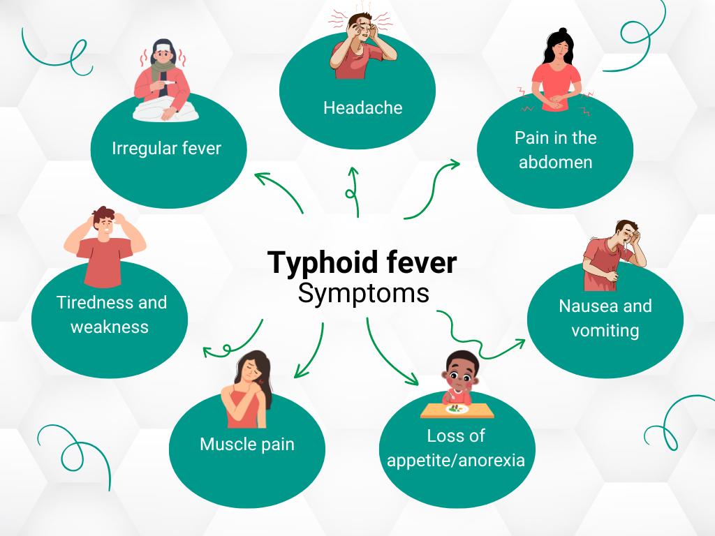 Typhoid Fever